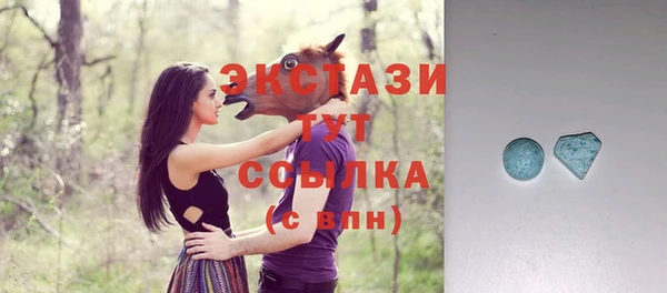 индика Зеленокумск