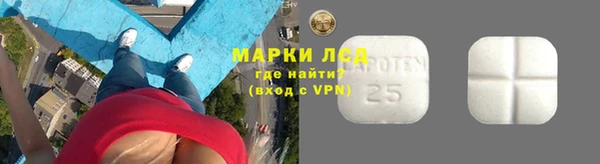 прущие крисы Абаза