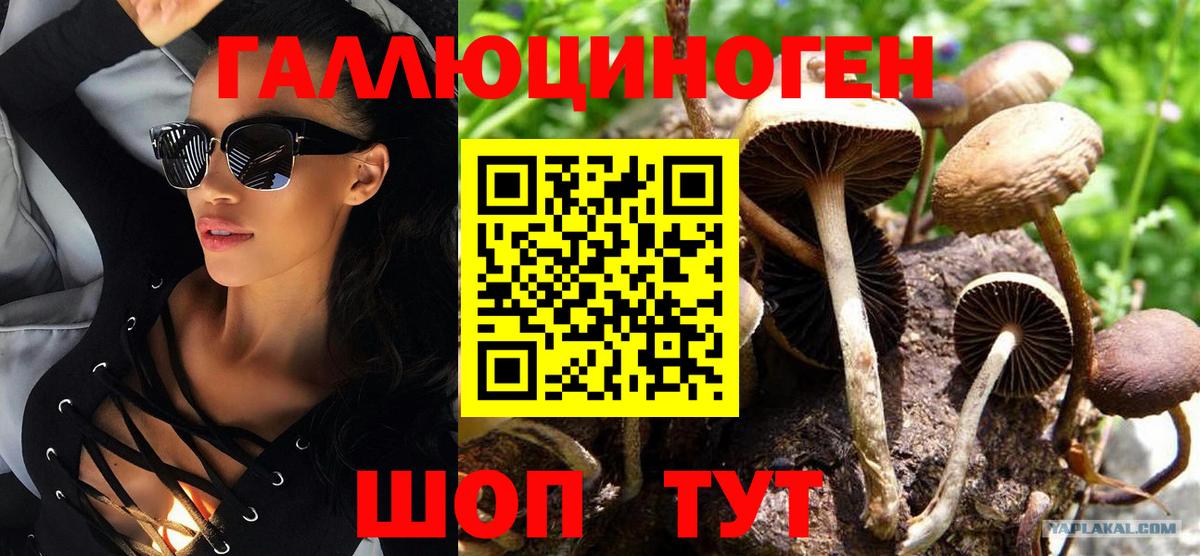 Галлюциногенные грибы Magic Shrooms Шали