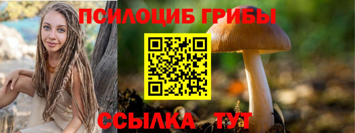 Галлюциногенные грибы мицелий  Вход с VPN  Шали  Псилоцибиновые грибы Cubensis 